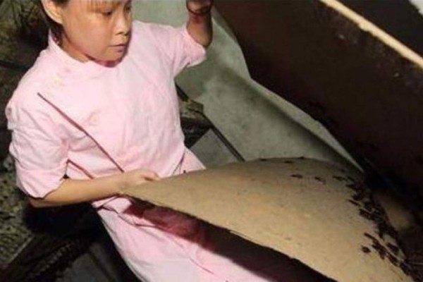 China transforma su casa en una granja de 100,000 cucarachas