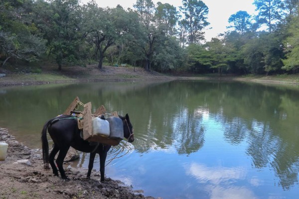 Nuevo Celilac, el municipio que atesora cultura indígena