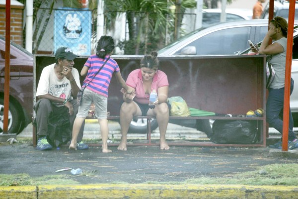 Los niños mendigos se multiplican y recaudan más de L3 millones al año