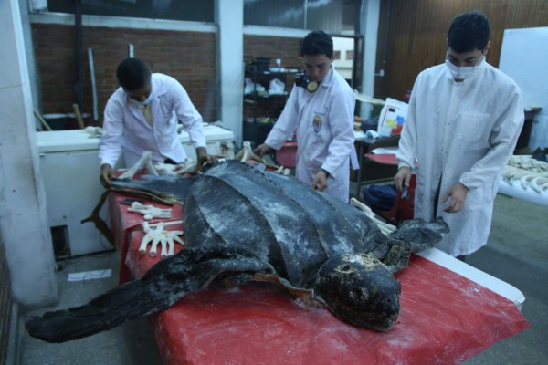 Unah-vs presenta 63 trabajos en cuarto congreso científico