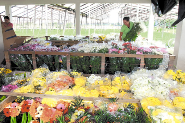 Pueblo emprendedor en el centro de Honduras