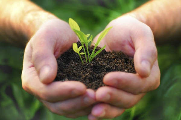 Busque mañana el primer fascículo de Guardianes del Planeta