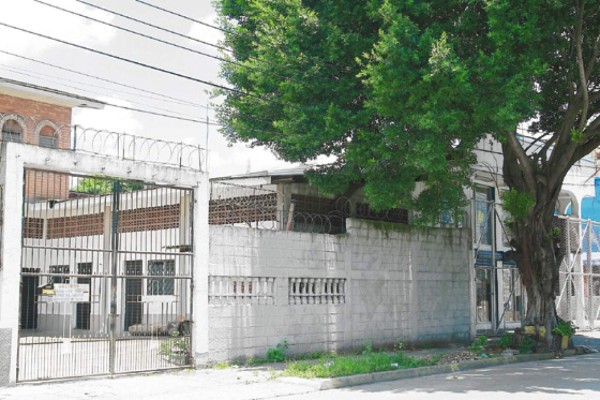 Temen que árboles causen desgracias