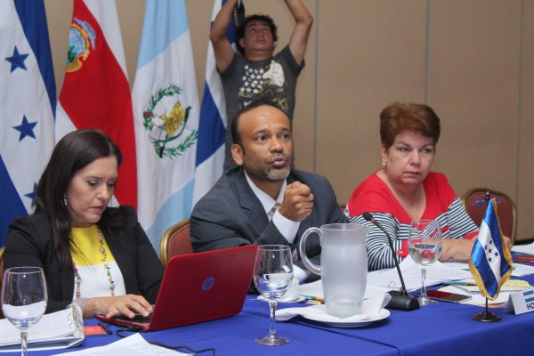 Países de Centroamérica toman medidas contra el gorgojo