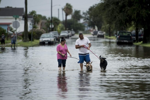 Harvey deja devastación e inundaciones en Texas