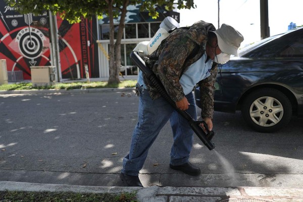Preocupación en Florida por aparición de zika no importado