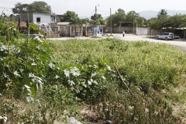 Sector sureste, el más vulnerable por infestación de dengue y chikungunya