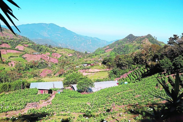 Federación de Patronatos organiza ruta turística en aldeas de El Merendón