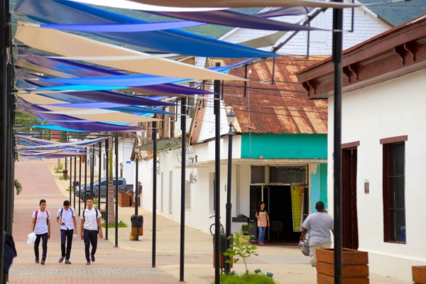 Ruta del Delfín en el Caribe hondureño