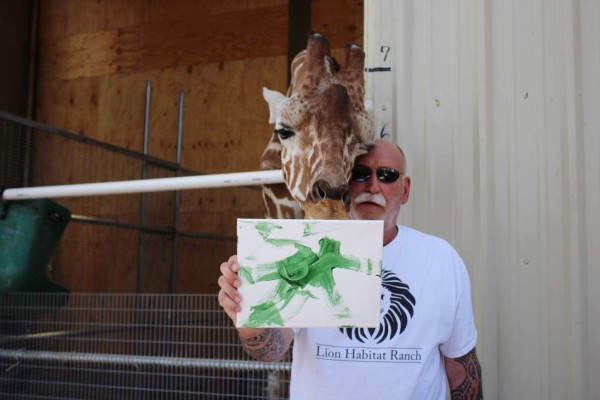 Ozzie, la famosa jirafa que pinta