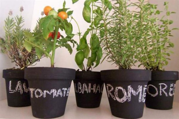 Haga su propia huerta