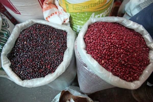 El Salvador produce semilla de frijol resistente a cambio climático