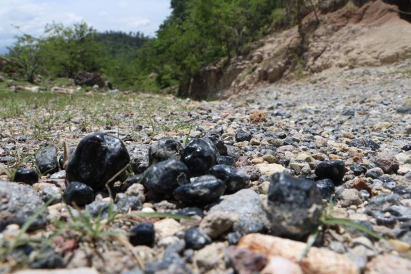 Loma Larga fue tierra de dinosaurios en Honduras