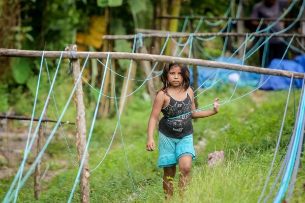 La palma, esencia artesanal de Santa Bárbara