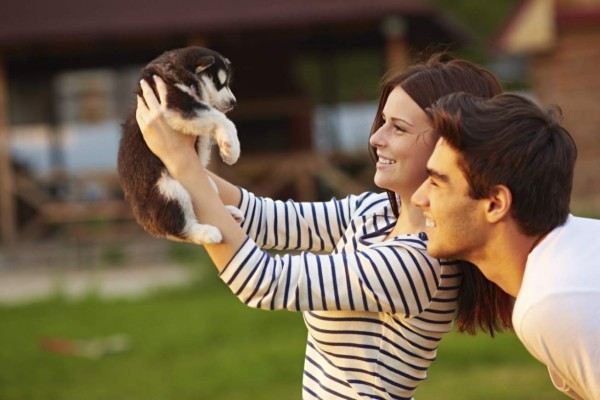 Los perros prefieren palabras de cariño que la comida