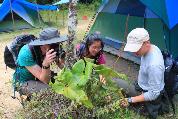 Científicos europeos destacan rica biodiversidad de El Cusuco