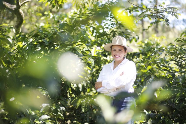 Producción cafetalera dejará cifras históricas