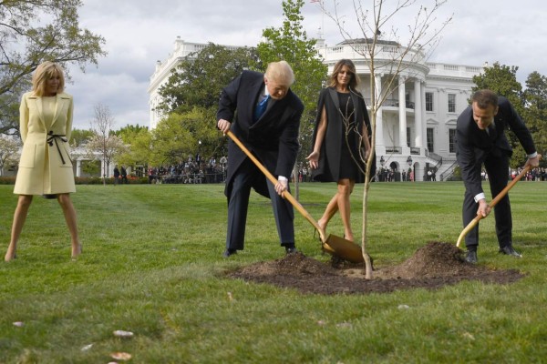 Muere el árbol que Trump y Macron plantaron como señal de amistad