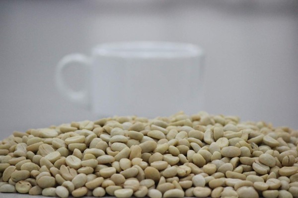 Cafetaleros cerraron el año con $800 millones en ingresos