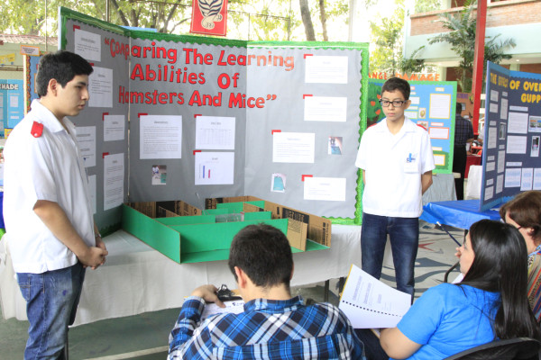 Alumnos sorprenden con proyectos