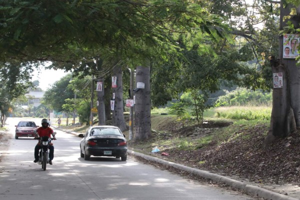 Plan de Arbitrios mantiene libre de afiches y rótulos en San Pedro Sula