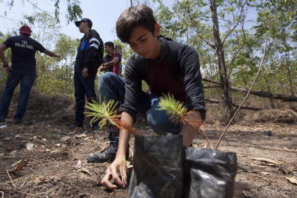 Honduras: Con siembra de árboles celebran Día de la Tierra