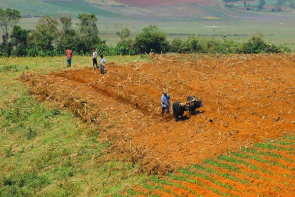Invierten más de L18 millones en 470 cosechadoras de agua