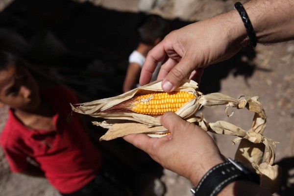 Se duplica número de afectados por sequía