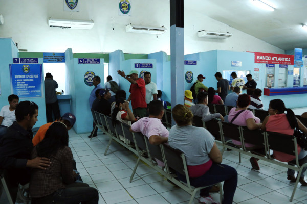 Alrededor de 62 infracciones registra Tránsito al día