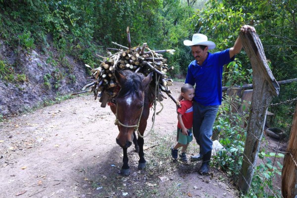 '¡Papi, sáqueme de aquí!”, clamaba entre los escombros que dejó la explosión