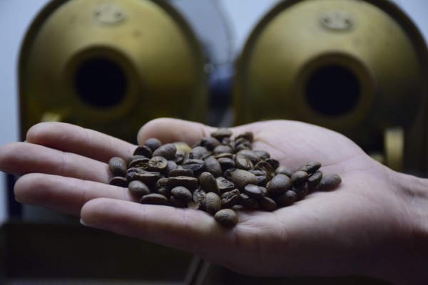 Subastarán cafés especiales de la región de Marcala