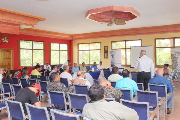 Gobierno destinará L20 millones para reforestar parque Jeannette Kawas