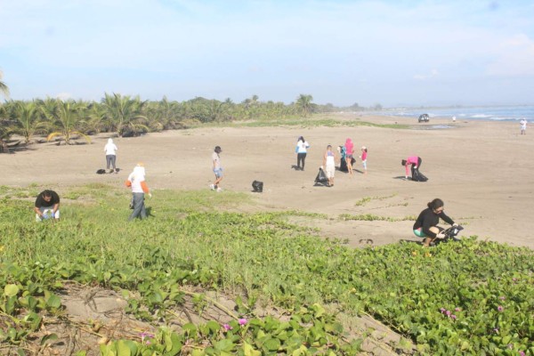 Unen esfuerzos para disminuir contaminación en playas de Tela&nbsp;&nbsp;