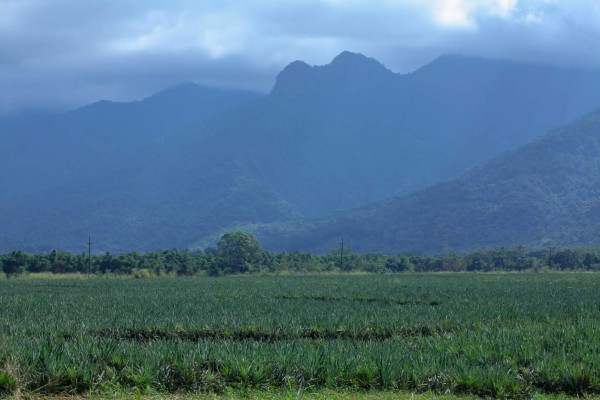 Pico bonito, el edén de La Ceiba