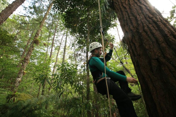 ¡Los tesoros del Cusuco! Biodiversidad en su máximo esplendor