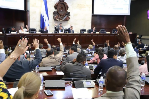 Aprueban ley especial para elegir nuevos cargos electorales