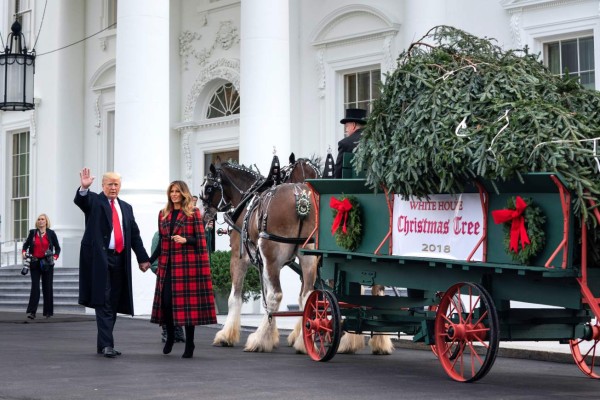 Trump y Melania reciben el árbol de Navidad de la Casa Blanca