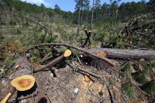 Ofrecen opción para TES a colegiales