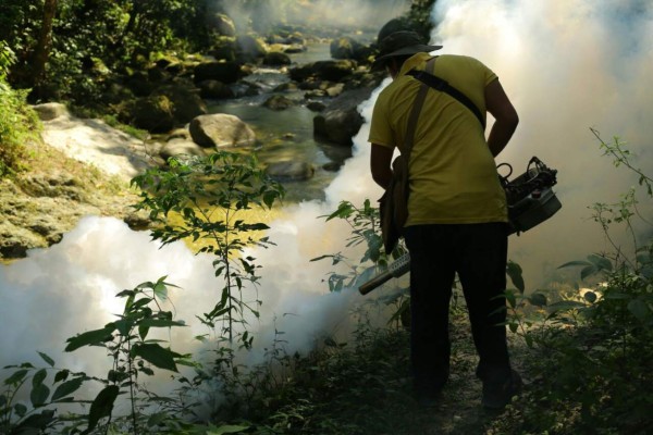 Limpian y fumigan zonas turísticas de San Pedro Sula