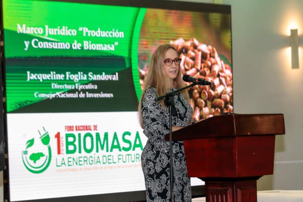 De 1,100 megas de energía renovable solo 150 son producidas por biomasa