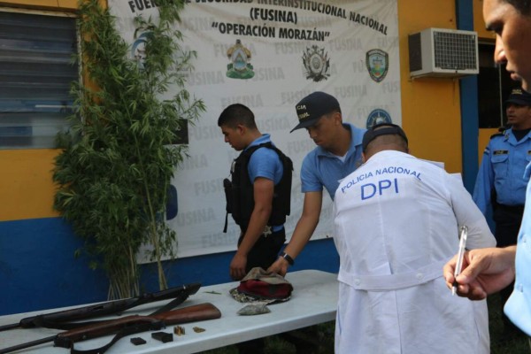 Dos detenidos en Santa Bárbara por siembra de marihuana