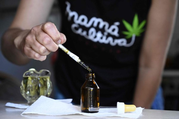 Valeria Rivera, member of the self-managing NGO Mama cultiva (Mom grows), prepares medicinal cannabic oil with self-cultivated cannabis for an epileptic boy, at her home in Buenos Aires on November 19, 2020. - Argentina legalised the self-cultivation of cannabis for medicinal use and the sales of therapeutic oils in pharmacies, through a decree published on the official journal on November 12, 2020. (Photo by JUAN MABROMATA / AFP)