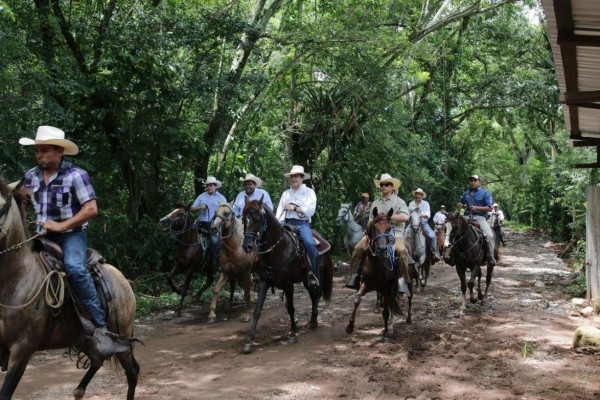 Hernández pide el voto para sus diputados
