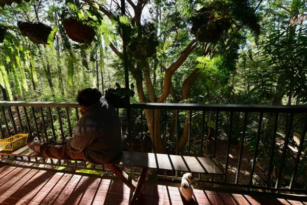 A woman HIV carrier rests at Casa Zulema shelter in Valle de Angeles, 15 kms east of Tegucigalpa, on November 29, 2019. - Casa Zulema is a shelters for adults, teenagers and babies who are HIV positive run by nurse Laura Sanchez. Since the 1990s, Honduras is the country most hit by the disease in Central America. With 20% of the isthmus population, the country had 60% of HIV carriers. (Photo by ORLANDO SIERRA / AFP)