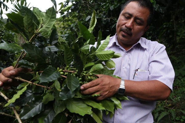 'Me parece que estoy viviendo un sueño”
