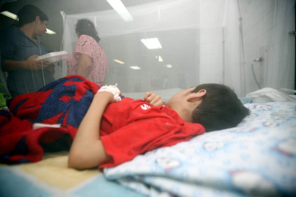 Salud vigilará casos de enfermedades neurológicas ante efectos del virus Zika