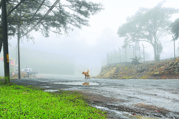 Proyectan masa de aire frío para jueves en Honduras