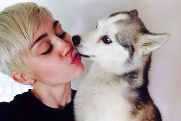 Muerte del perro de Miley Cyrus se convierte en tendencia mundial