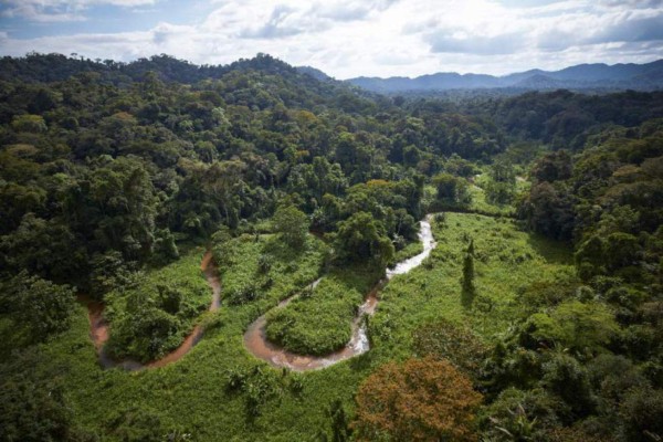 Honduras firma convenio con National Geographic para explorar La Mosquitia