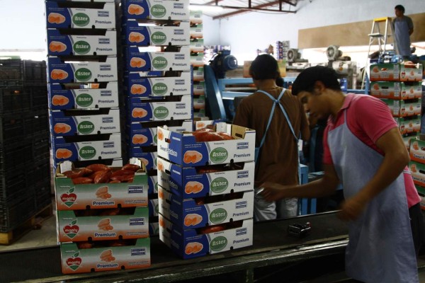 Cadena de supermercados de Kuwait demanda productos hondureños